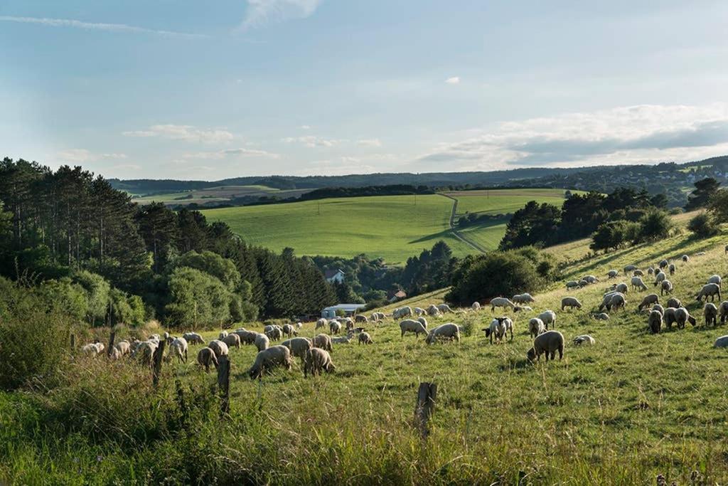 Zum Goldenen Schaf II Lejlighed Ahrdorf Eksteriør billede