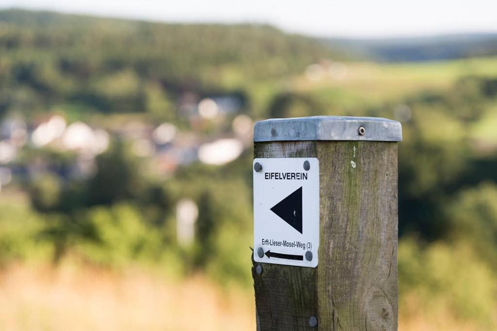 Zum Goldenen Schaf II Lejlighed Ahrdorf Eksteriør billede